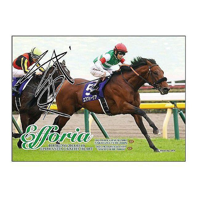 エフフォーリア」ジグソーパズル500ピース (競馬 競走馬 38×53cm 現役