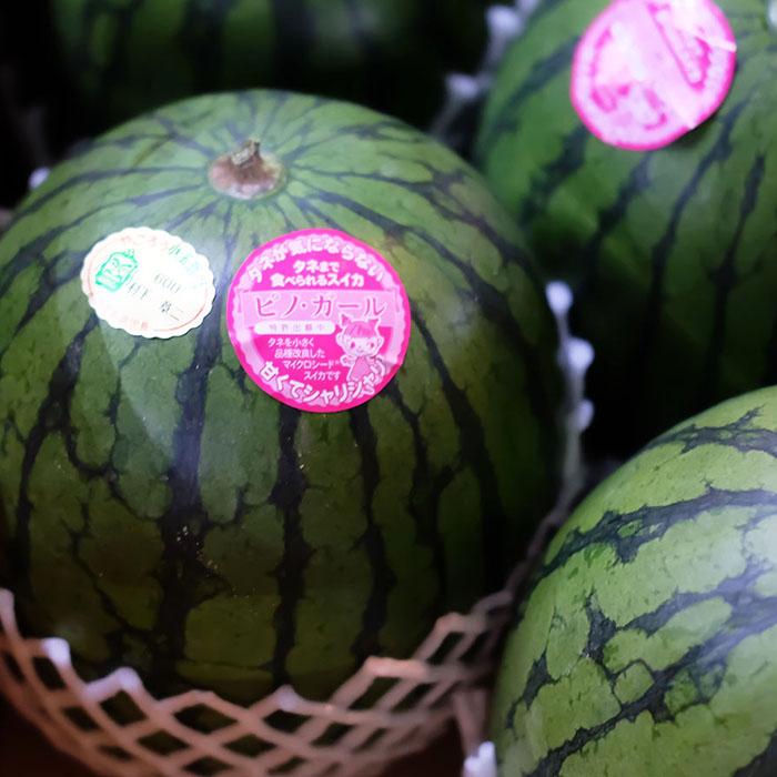 長崎県産 小玉すいか （こだま西瓜） 秀品 M〜Lサイズ 5〜6玉入り （箱