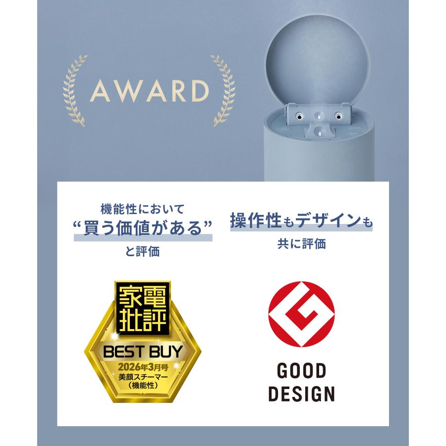 SALONIA（サロニア） スチーマー 美顔器 ピュアブライト スチーマー