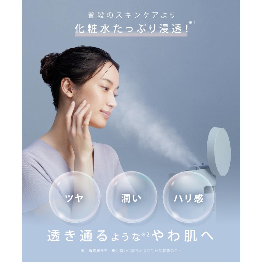 SALONIA（サロニア） スチーマー 美顔器 ピュアブライト スチーマー