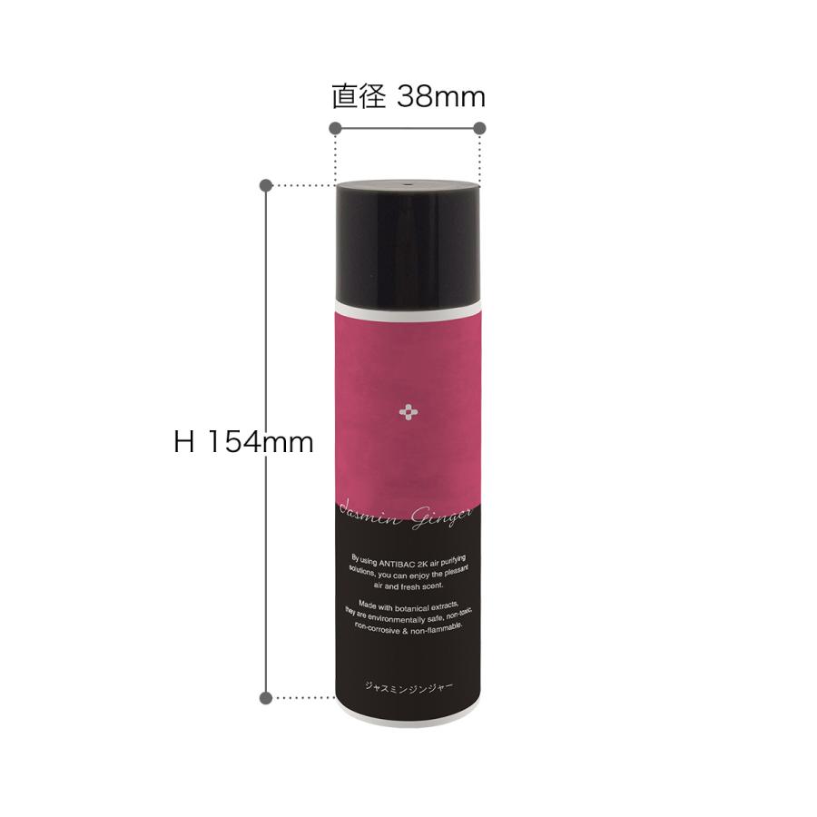 アンティバック2K ［ antibac2K ソリューション 125ml ］125mL