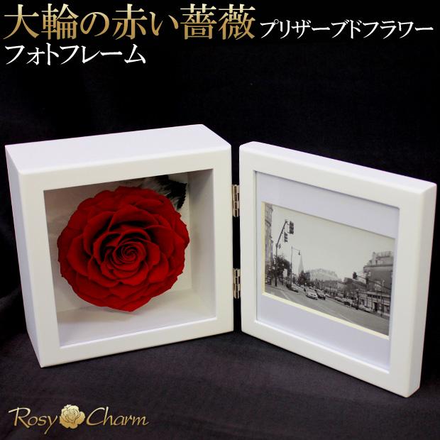 プリザーブドフラワー フォトフレーム 大輪 赤いバラ 一輪 写真立て