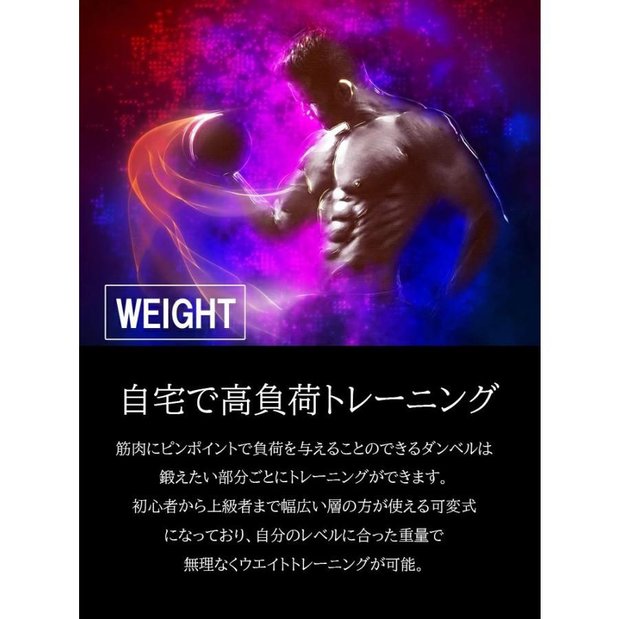 公式販売店 ファイティングロード ダンベル 可変式 2.5kg~50kg 2個
