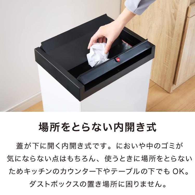 Hailo ハイロ ゴミ箱 ごみ箱 ダストボックス ニュービッグボックス40L