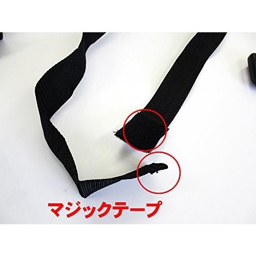 エバーションベルト 2人用セット スクール革命 鬼ごっこ アジリティ