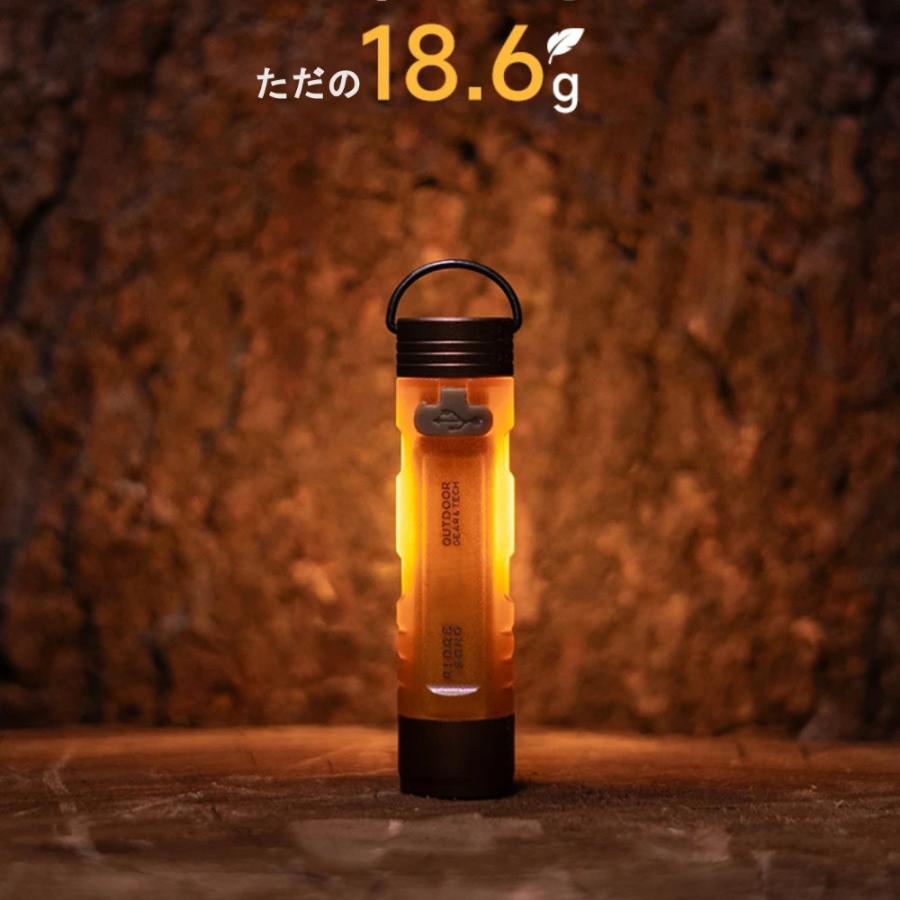 全品送料無料 tsb【ポイント15倍UP】2WAY LEDマイクロライト