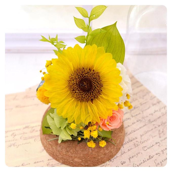 プリザーブドフラワー ヒマワリ ガラスドーム 花 ギフト ひまわり