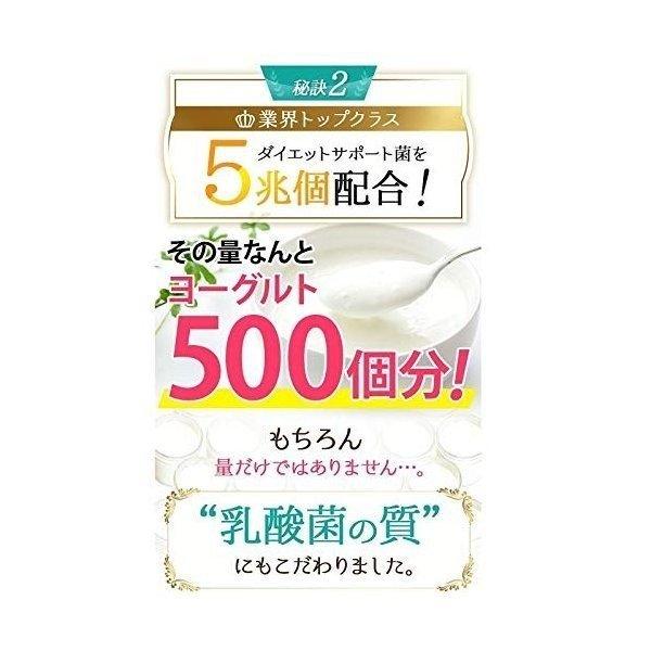 フロルフロラ FLOR FURORA 30粒 ダイエット サプリメント : GANTS FOOD