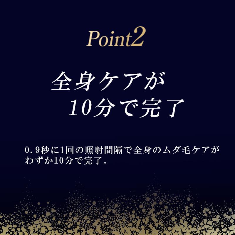 Notime（ノータイム） メタルダンディ アイスダンディ 刺青 脱毛器