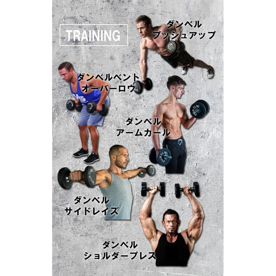 公式販売店 ファイティングロード ダンベルセット ラバータイプ 20kg