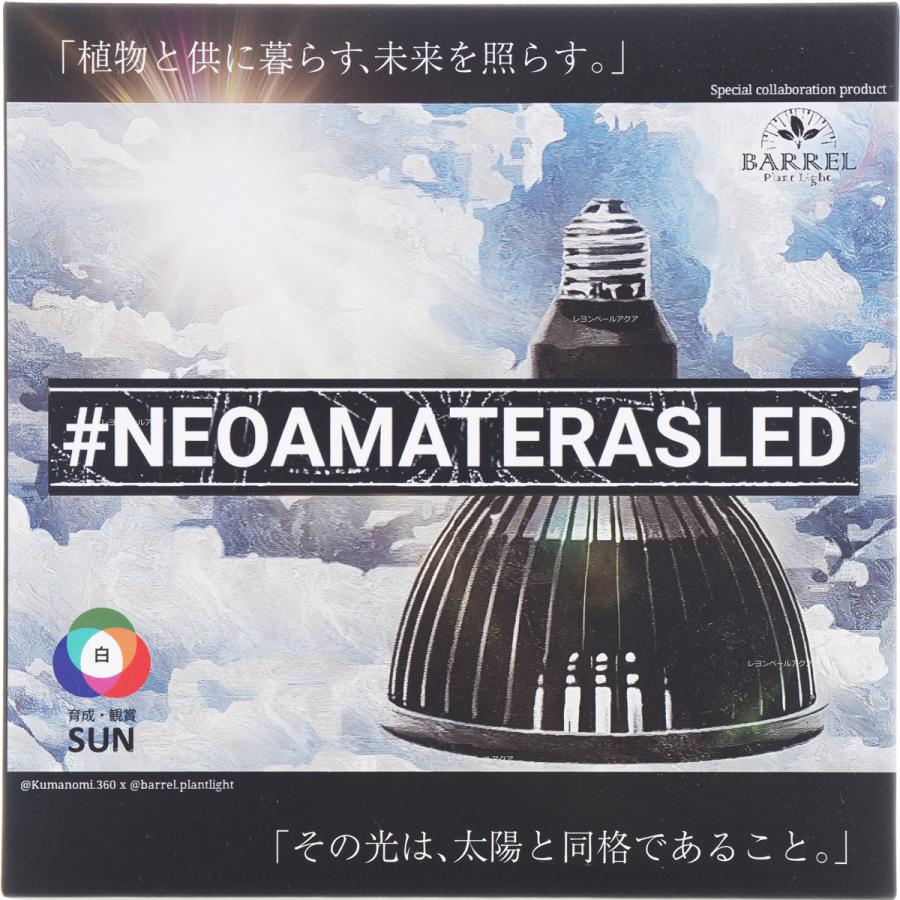 全国送料無料】 BARRELバレル NEO AMATERAS LED 20W ネオアマテラス