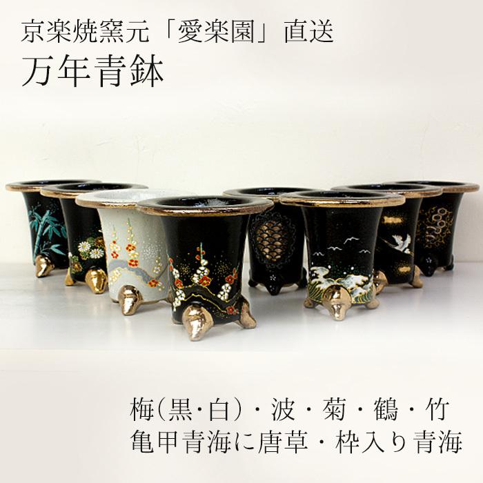 ◇京楽焼窯元「愛楽園」直送◇『万年青鉢(おもと鉢) 梅(黒鉢)・梅(白鉢