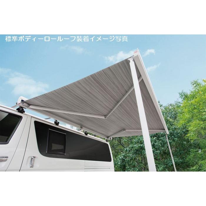 3.5mモデルフィアマFIAMMA製サイドオーニング・F45S/3.5mモデル