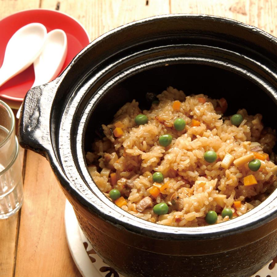 リンナイ（Rinnai） 【送料無料】長谷園 専用炊飯土鍋「かまどさん自動