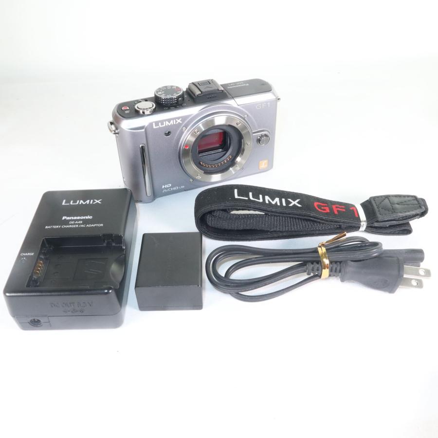 Panasonic LUMIX DMC-GF1 ボディ ブレードシルバー ミラーレス k735