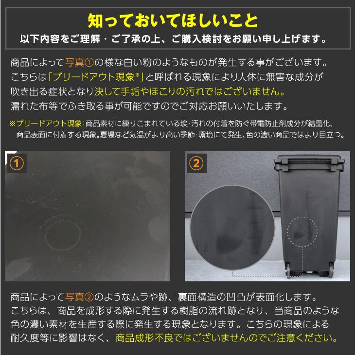 RISU（リス） RISUキャスターペール90C2 ゴミ箱 屋外 大型 分別