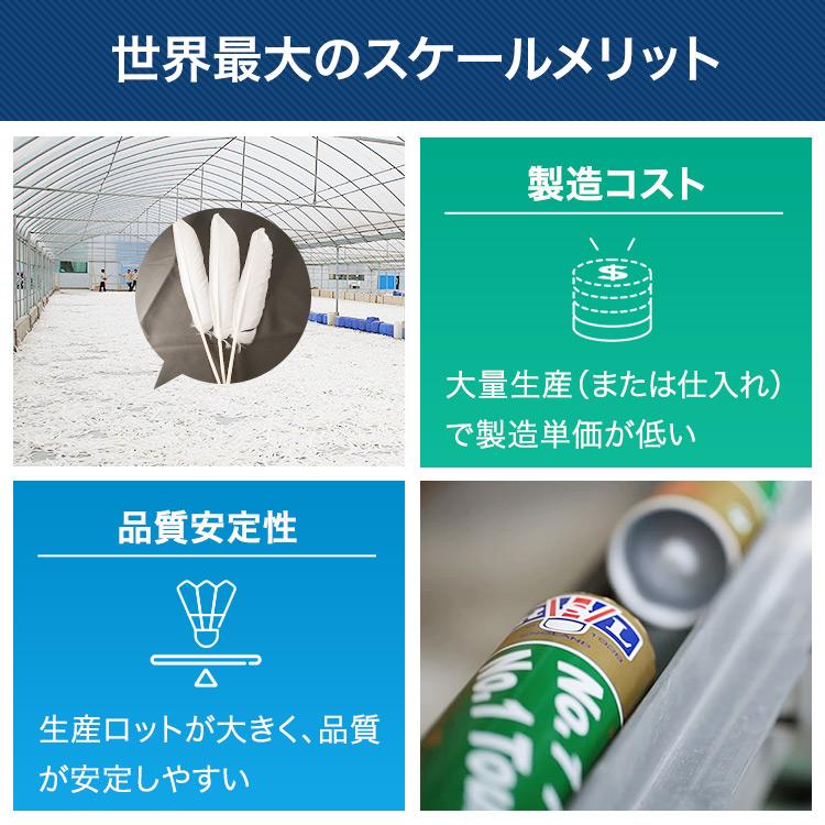 RSL RSLダイレクト バドミントンシャトル 練習球 10ダース(10本