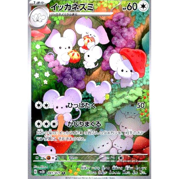 イッカネズミ(081・071 AR)/無 ポケモンカード : トレカショップ竜の