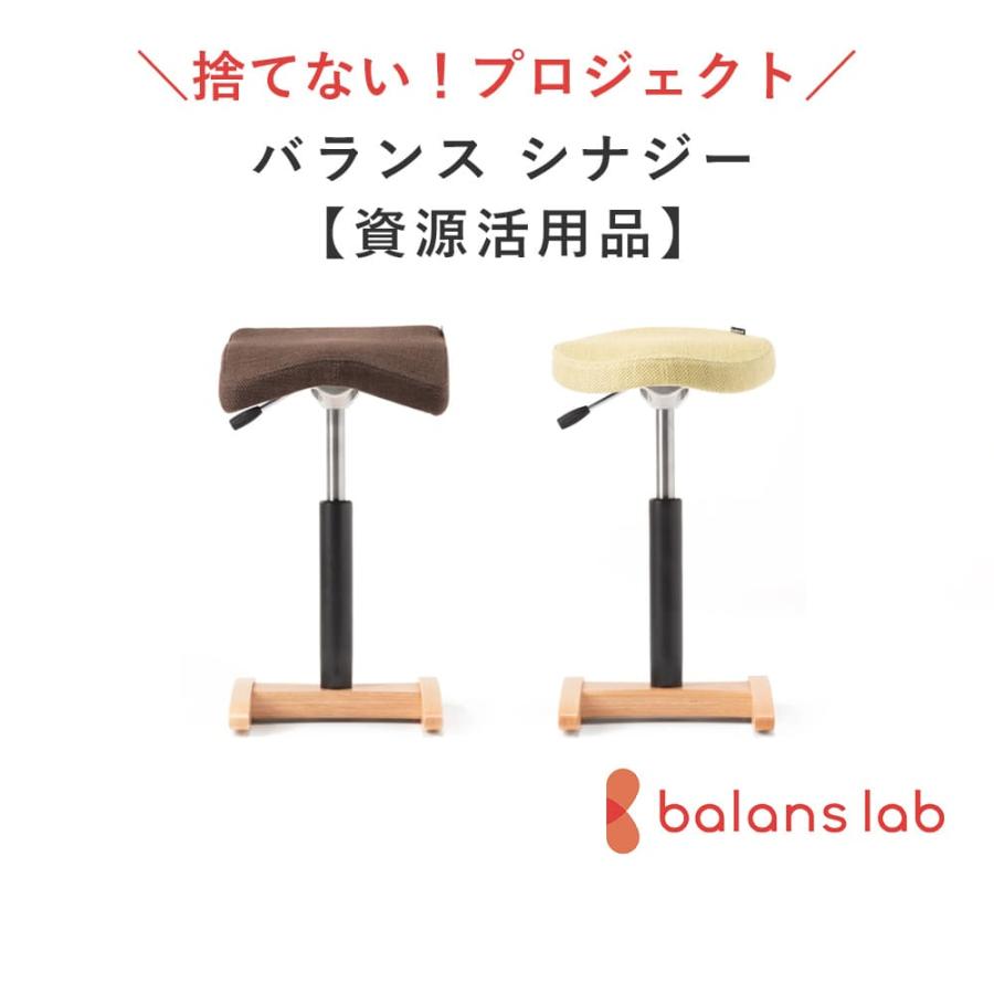 バランスラボ 【送料無料】数量限定！バランス シナジー オート
