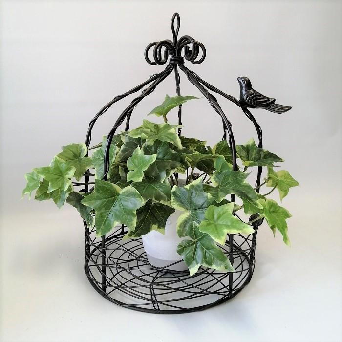 ガーデニング 雑貨 プランツケージ バードケージ 鳥かご 庭 ガーデン