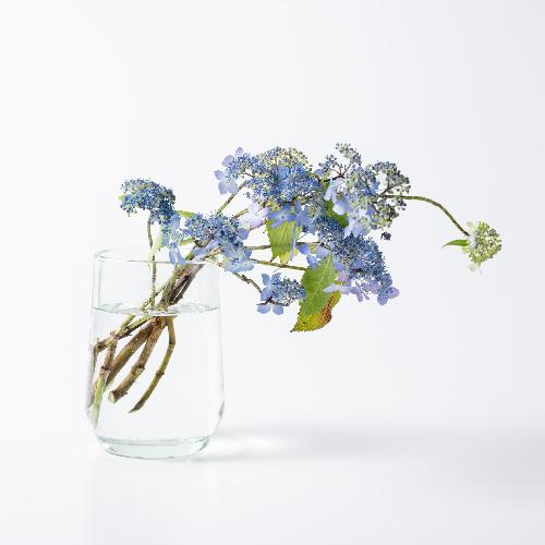 HenryDean ヘンリーディーン クレモンスハイS クリア ガラス花瓶 花器