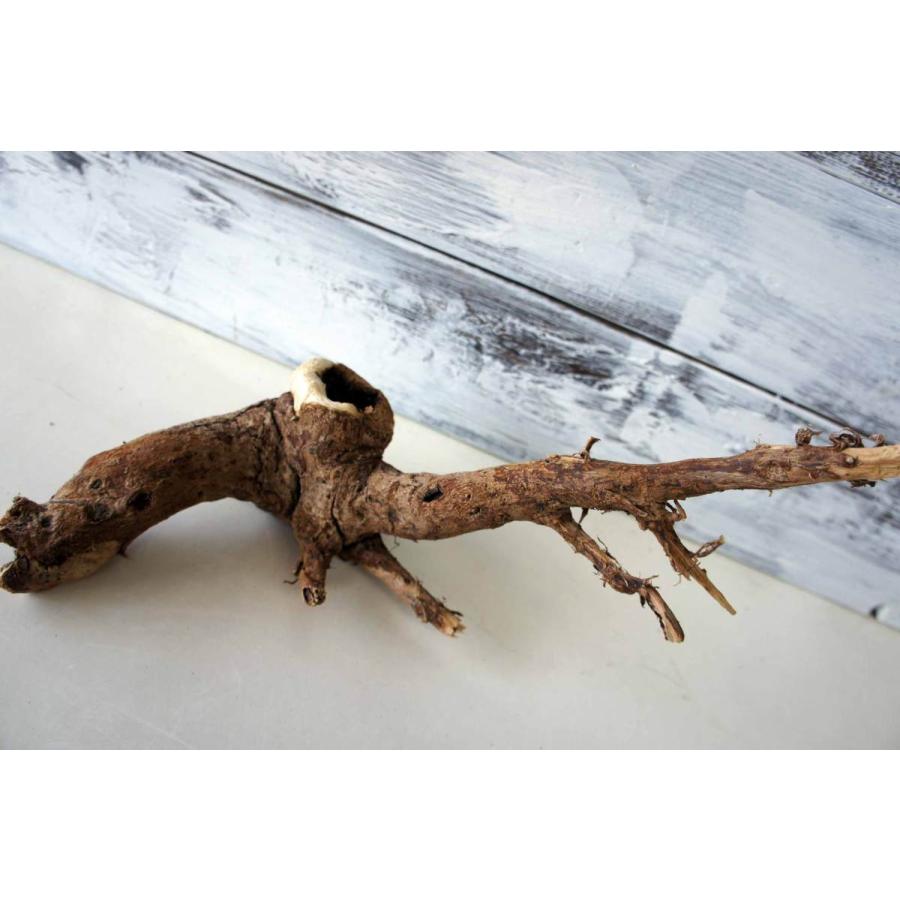 インテリア 流木 おしゃれ ナチュラル 雑貨 小物 オブジェ 置物 観葉