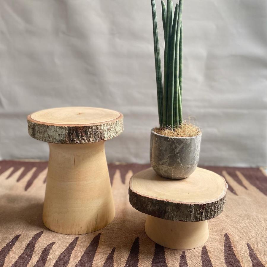 木の花台 ディスプレイ プランタースタンド フラワースタンド 木製