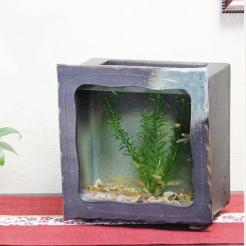 めだか鉢 陶器の水槽 陶器水槽 信楽焼の黒釉角水槽 ビオトープ