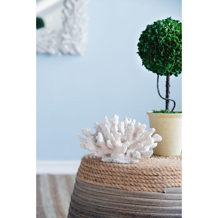 珊瑚オブジェ ホワイト 珊瑚 サンゴ Coral White インテリア オブジェ