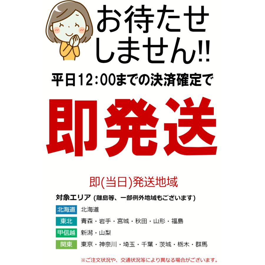 クーポン最大700円引き にんにく 青森 バラ 500g 訳あり 送料無料 福地