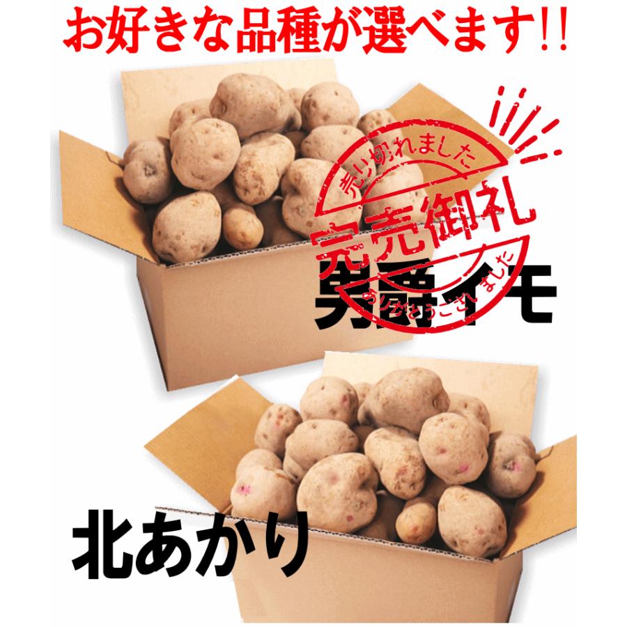 オーガニック じゃがいも 10kg 送料無料 AB品混合 岩手県産 無農薬栽培