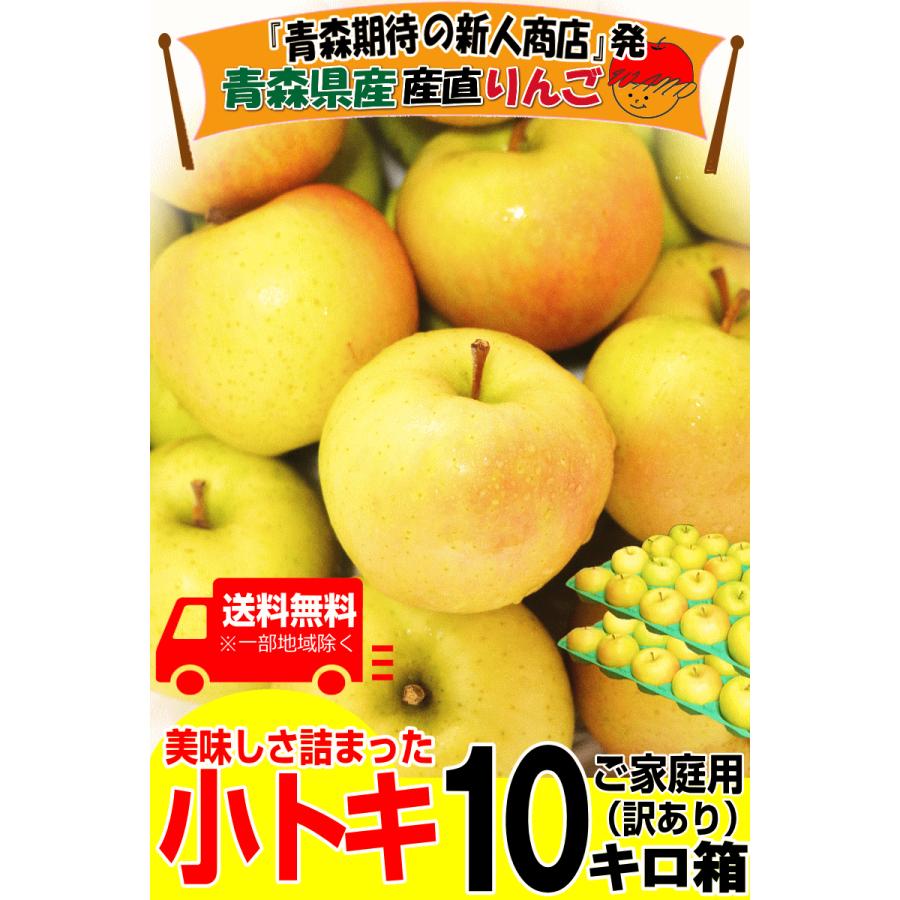 青森 りんご 10kg箱 小トキ 送料無料 サンふじと王林の交配種 家庭用