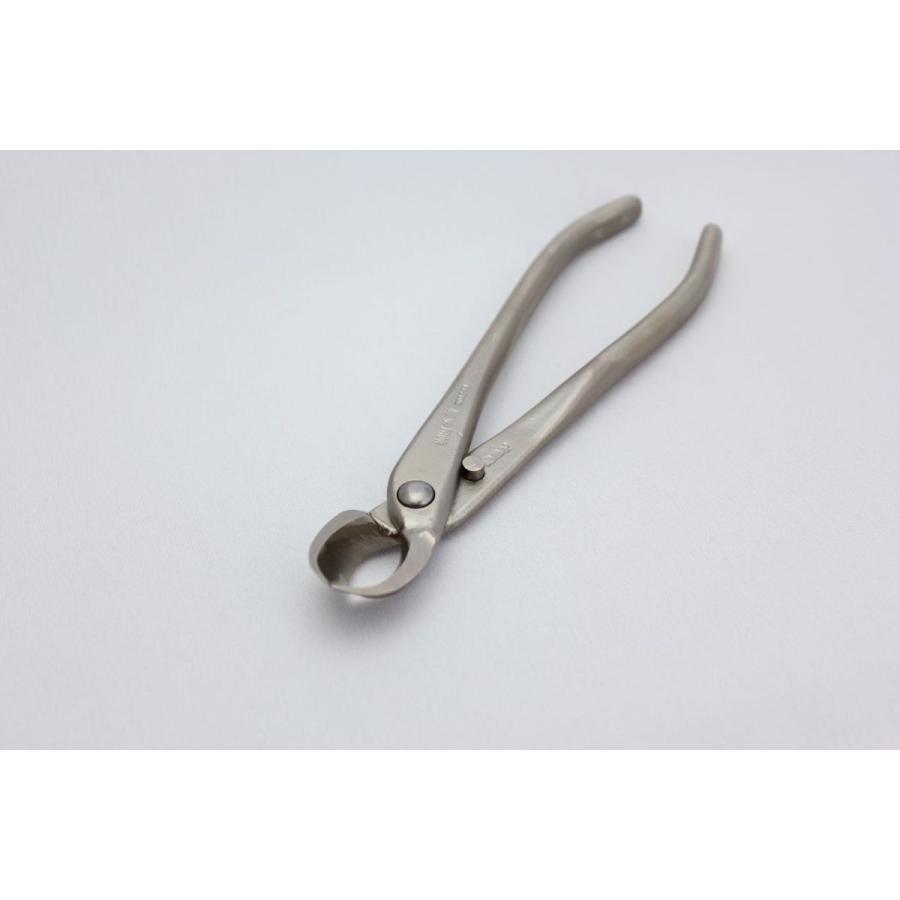 昌国 白染又枝切 小 No,8116 : 盆栽ショップ わびさび Yahoo!店 - 通販