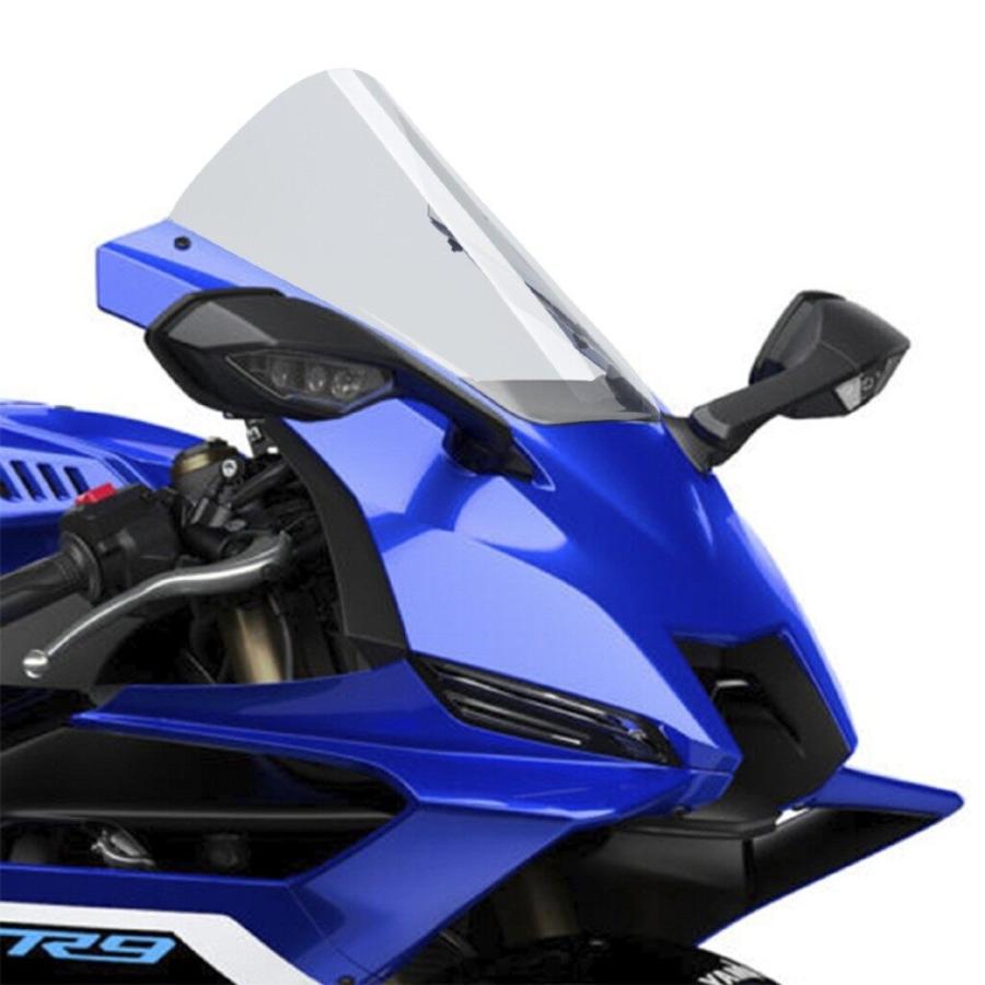 Puig（プーチ） レーシングスクリーンR-RACER (R-RACER SCREEN) カラー