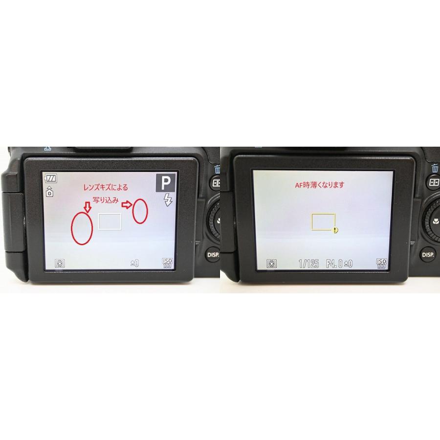 キヤノン Canon コンパクトデジタルカメラ PowerShot G12 : ワットマン