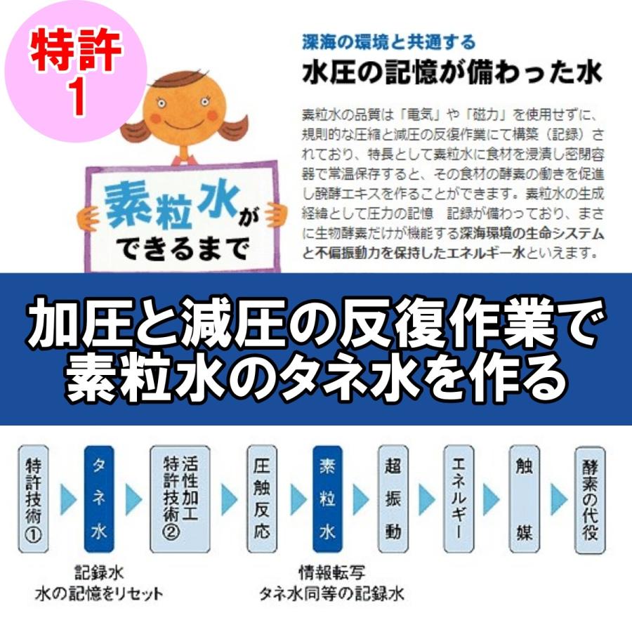 ワンウォーターECO 浄水器 キッチン用 素粒水 醗酵する水 環境改善
