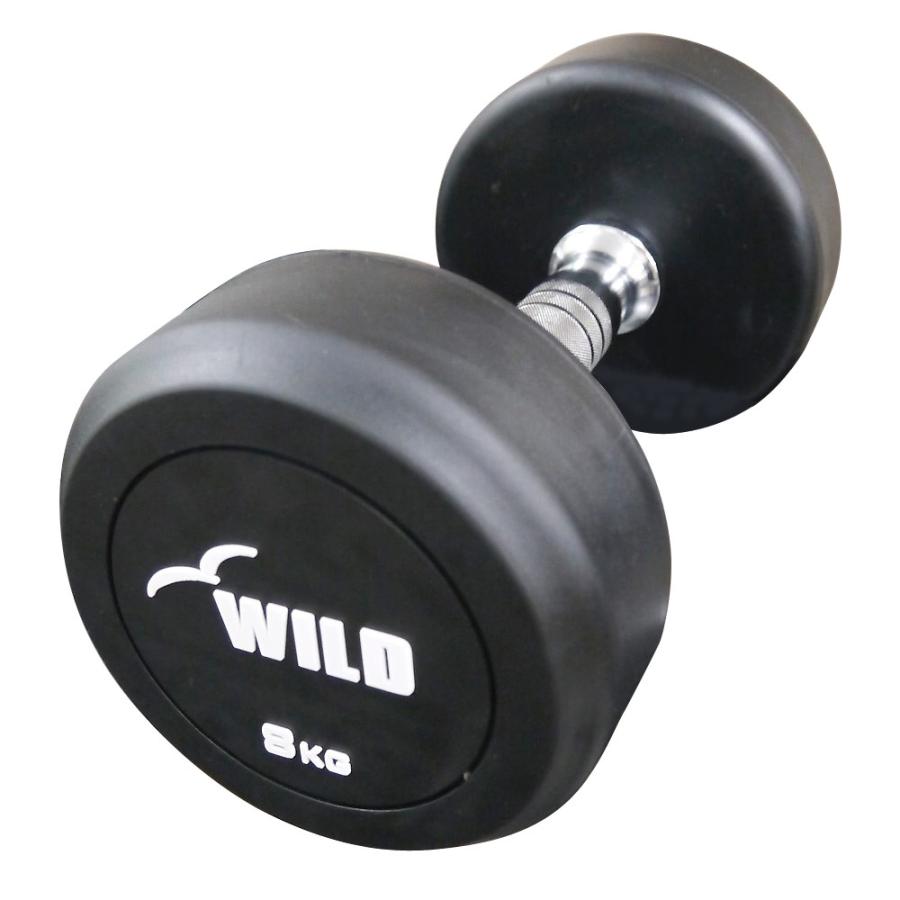 WILD FIT（ワイルドフィット） 固定式 ダンベル 8kg WF / ジムダンベル