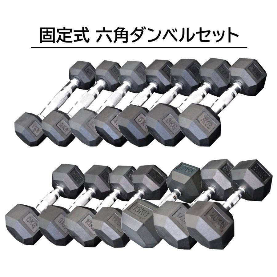 WILD FIT（ワイルドフィット） 固定式六角ダンベルセット / 固定式