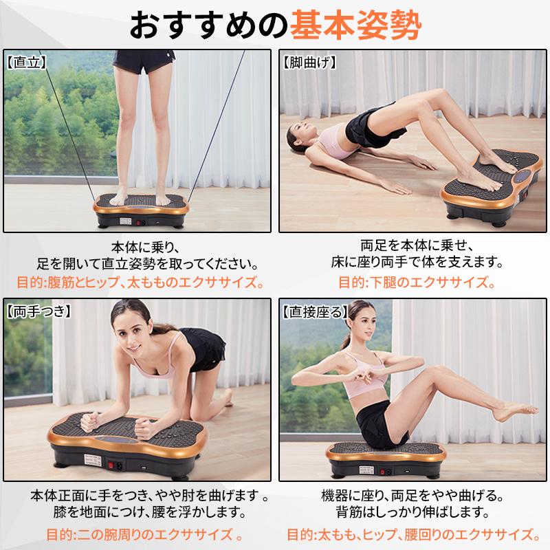 AORTD 振動マシン 最新型モデル バランスウェーブ ステッパー