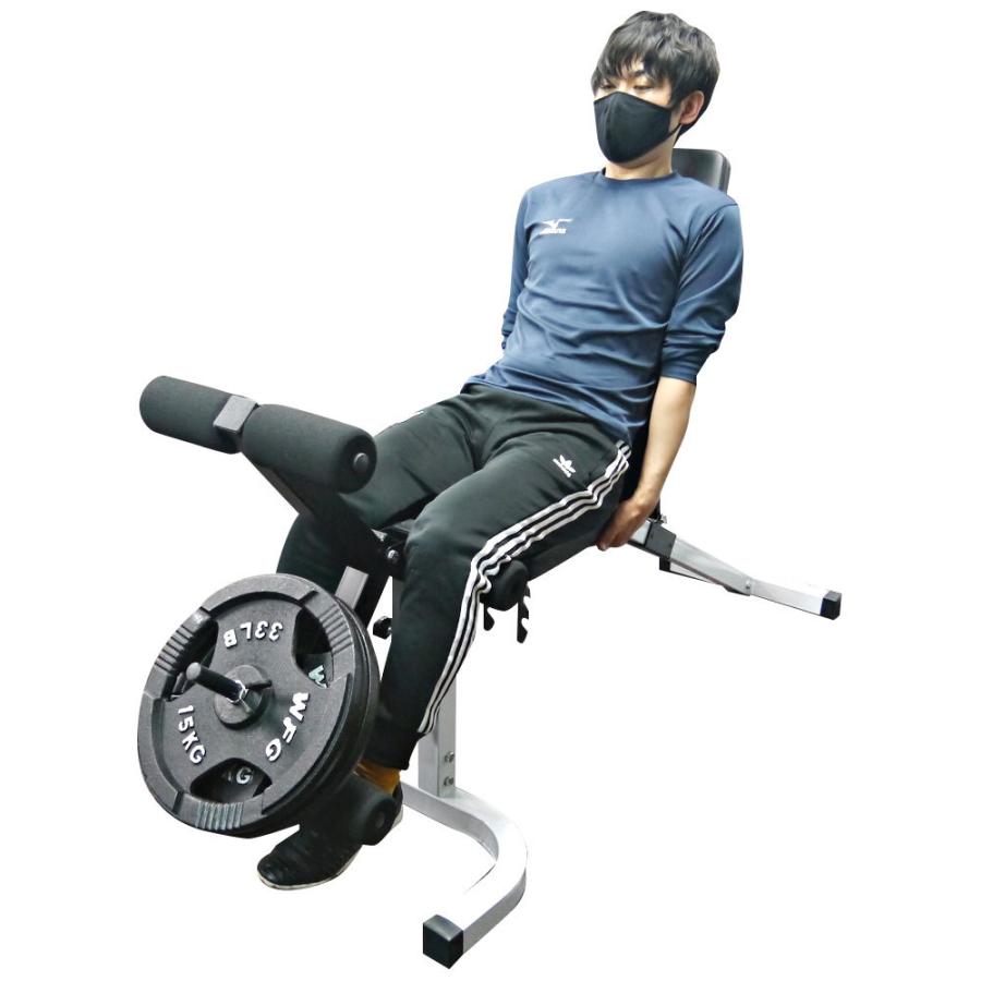 WILD FIT（ワイルドフィット） インクラインデクラインベンチ / インク