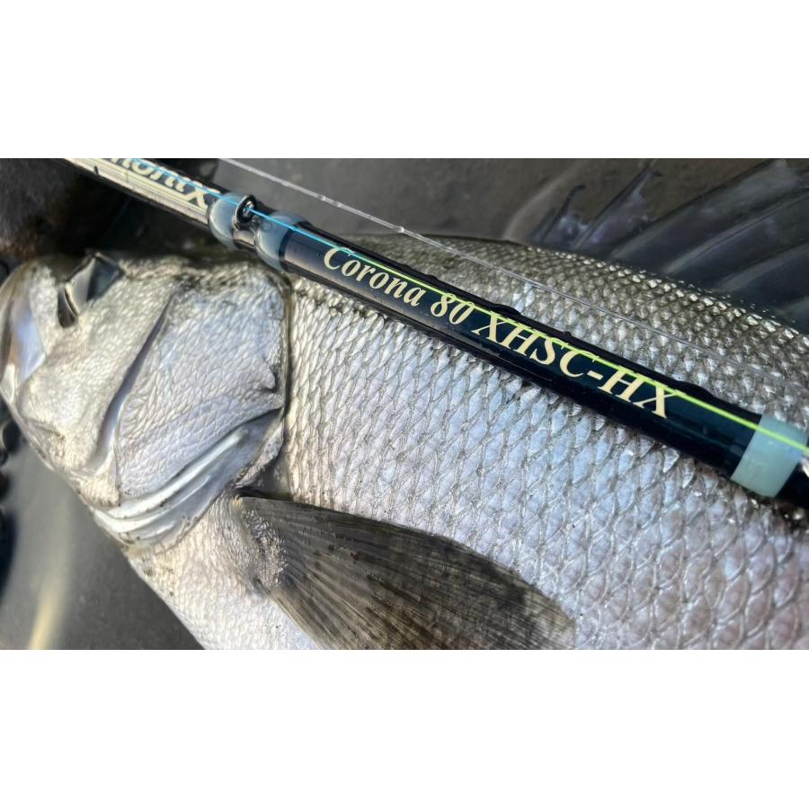 TULALA ツララ ハーモニクス コローナCorona80XHSC-HX 2025年ニュー