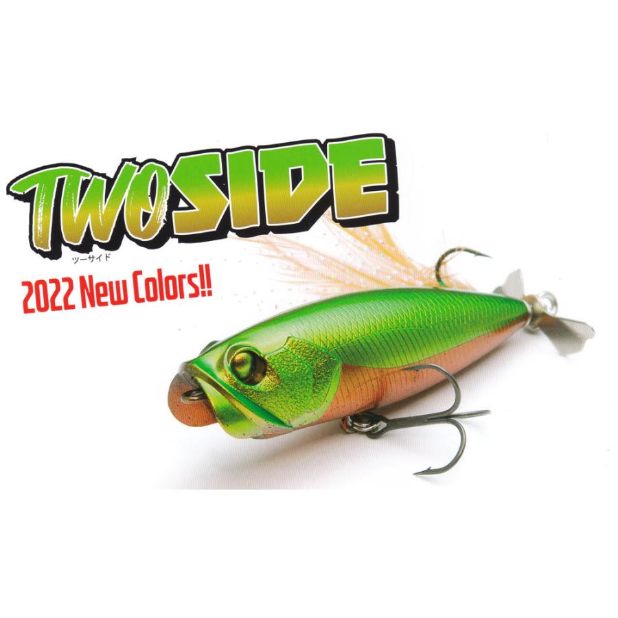 RAID JAPAN（レイドジャパン） ツーサイドTWOSIDE : ウインズヤフー店