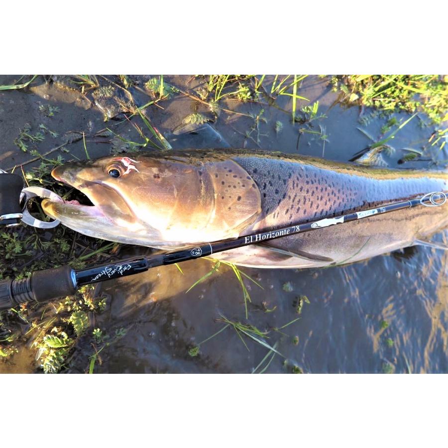 TULALA ツララ エルホリゾンテ El Horizonte 78 : ウインズヤフー店