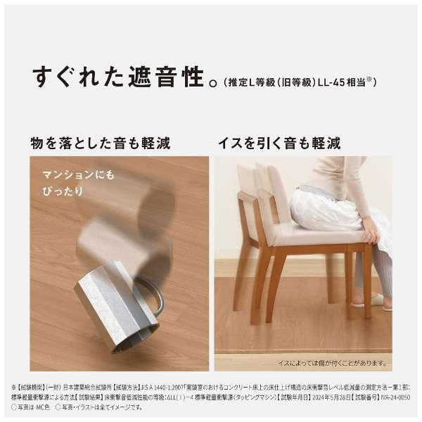 Panasonic（パナソニック） DC-2V5 かんたん床暖 フローリング調ホット