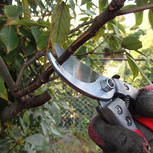 アルス 剪定鋏 200mm VS8 VS-8Z : プロツールショップとぎやヤフー店
