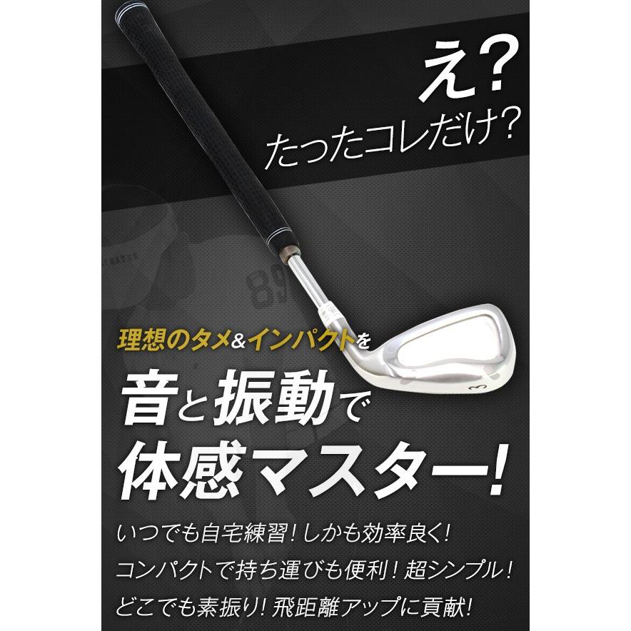 匠 スイングマスタープロ ヘッド付 スイング練習 自宅練習 飛距離