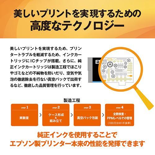 エプソン（EPSON） IB06CL5A 純正 インクカートリッジ 4色パック