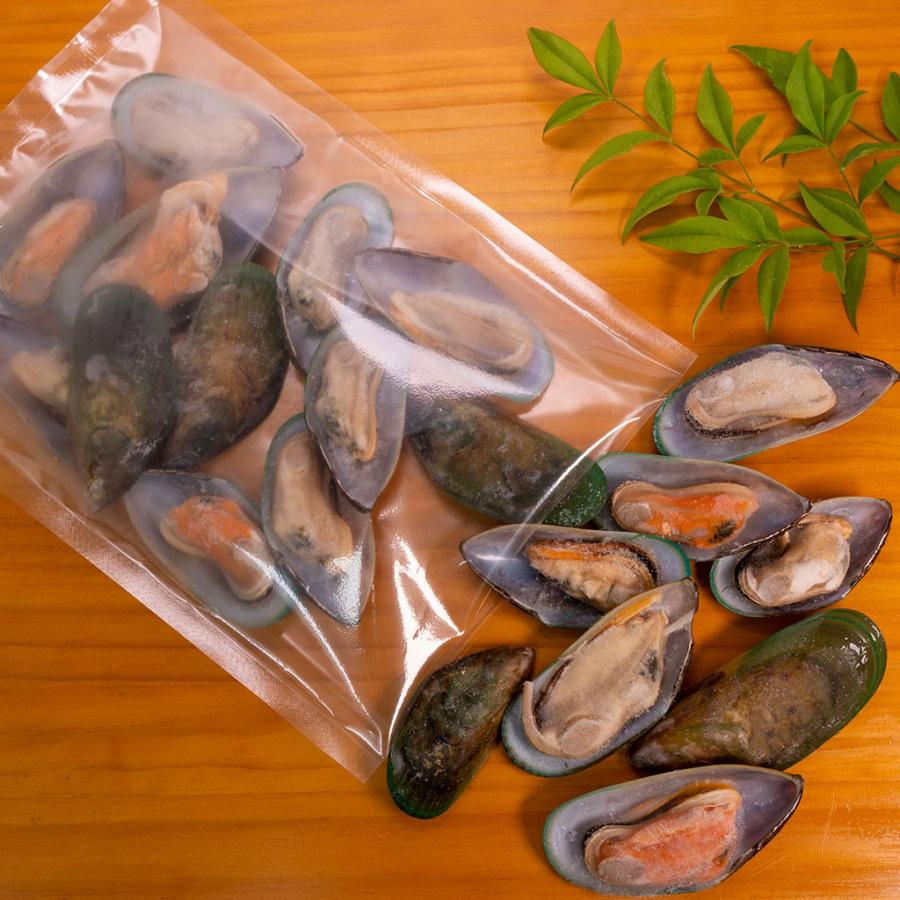 パーナ貝(グリーンシェルマッセル) 片貝13〜25粒入り 500g : 特正