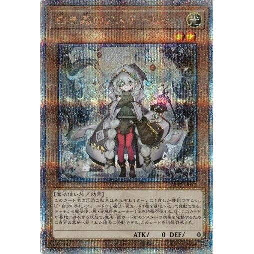 コナミデジタルエンタテインメント 白き森のアステーリャ (25th