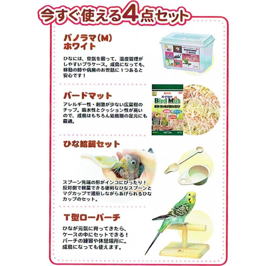 インコひな用 特製飼育セット : とりっぴー小鳥用品専門店 - 通販
